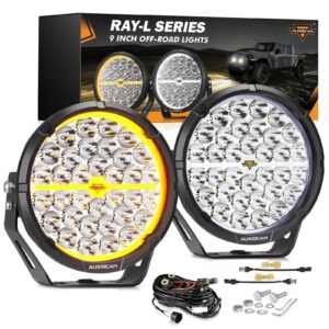 RAY-L Series | 9 Inch 318W 34180LM Dual DRL Offroad LED Driving Lights — 9 Inch Driving Lights
